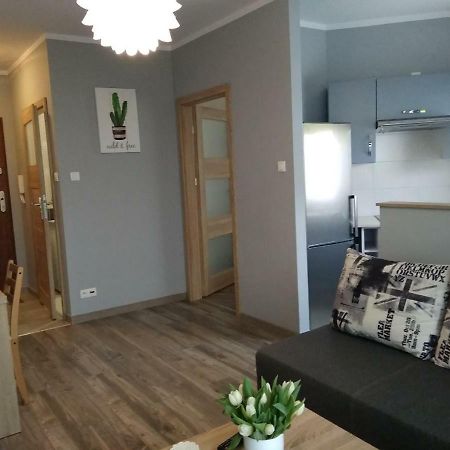 Apartament Edelmana Apartment Gorzow Wielkopolski Bagian luar foto