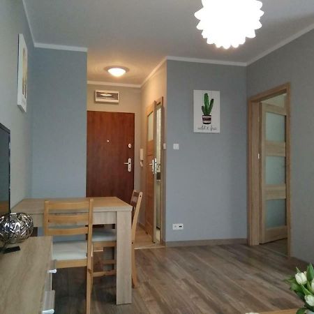 Apartament Edelmana Apartment Gorzow Wielkopolski Bagian luar foto