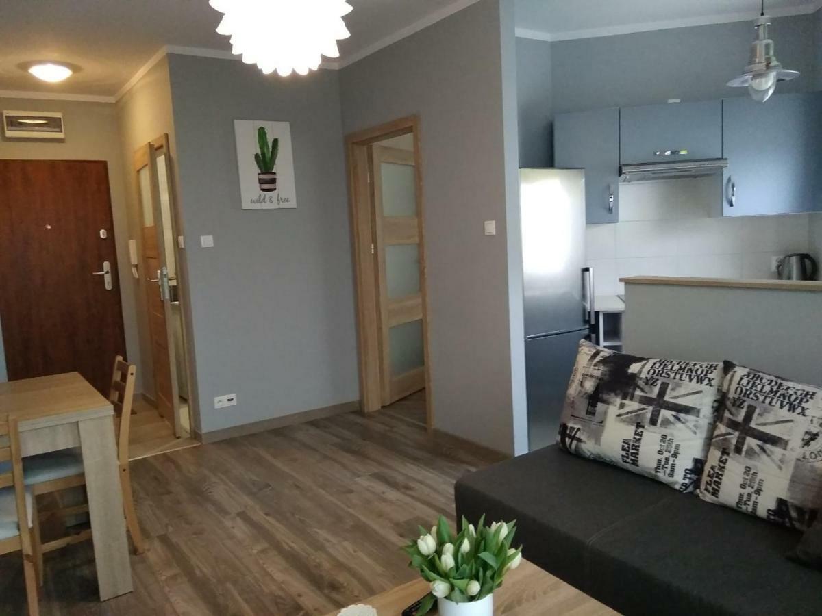 Apartament Edelmana Apartment Gorzow Wielkopolski Bagian luar foto